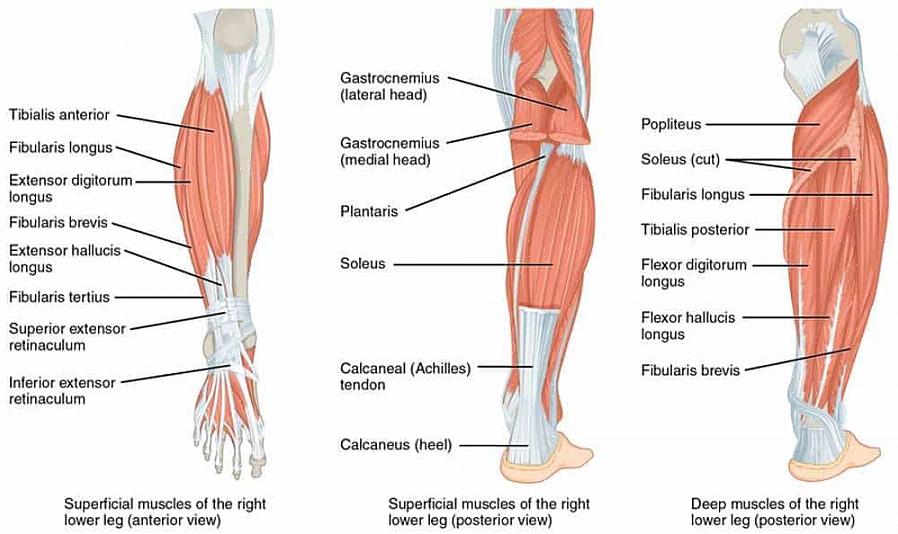 עצה טובה נוספת כדי להימנע מכאבי שרירי רגליים (וכל כאב שרירי גוף אחר) היא להכיר את הגבולות שלך ולא לחרוג